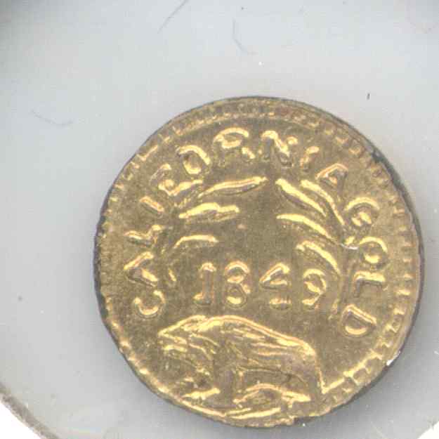 Bear11 Reverse