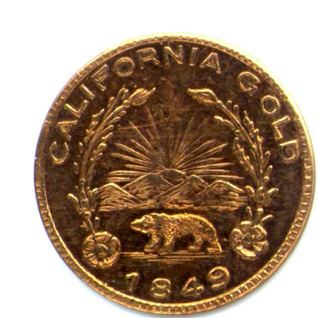 Bear5 Reverse